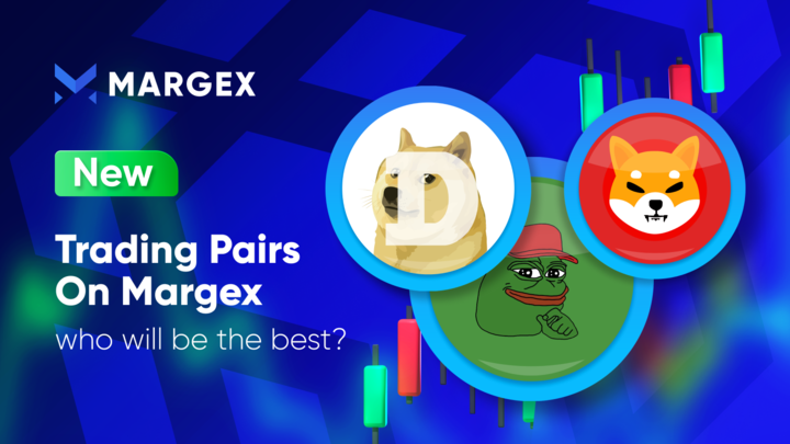 The Meme Coin Duel: SHIB, DOGE, and PEPE in 2024