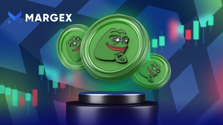Bitcoin Cash: What's Next for BCH After the Halving?