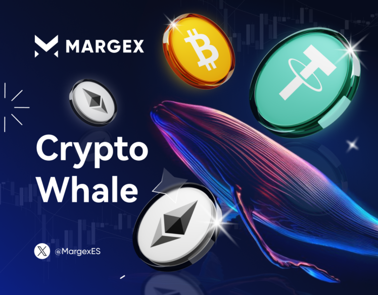 Las ballenas de las criptodivisas y su impacto en el mercado