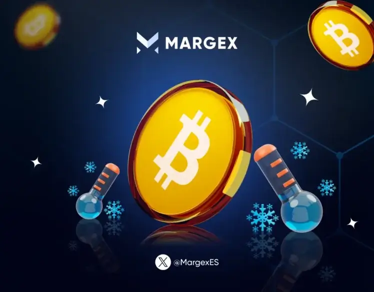 Los compradores de Bitcoin 2020 mantienen firme el BTC a pesar del máximo histórico de 109.000 dólares