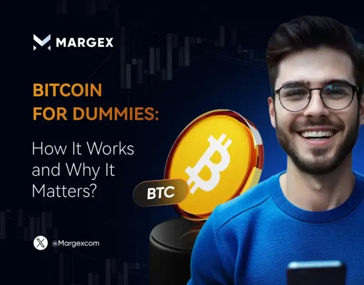 Bitcoin for Dummies: How It Works and Why It Matters?
